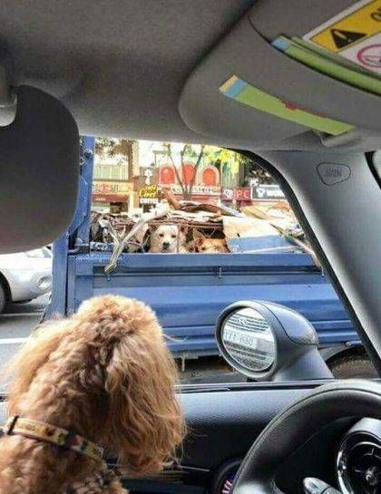 애잔한 사진한장.jpg