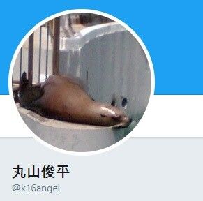 img/24/01/10/18cf398170f89cc7.jpg