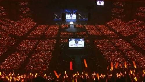 일본의 애니메이션 콘서트 관중