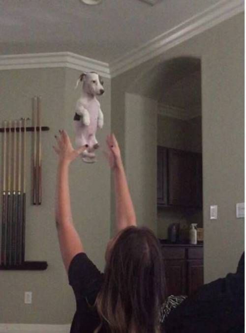 주인의 사랑도 이젠 지겹다.jpg