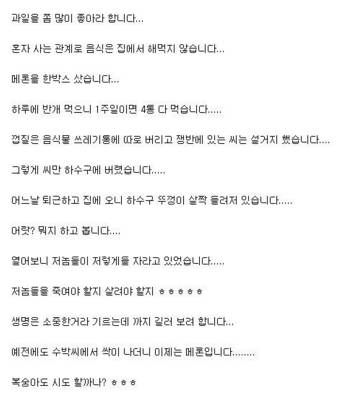 위대한 생명력.jpg