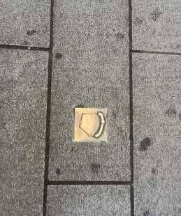 대구사람들이 잘 모르는 사실