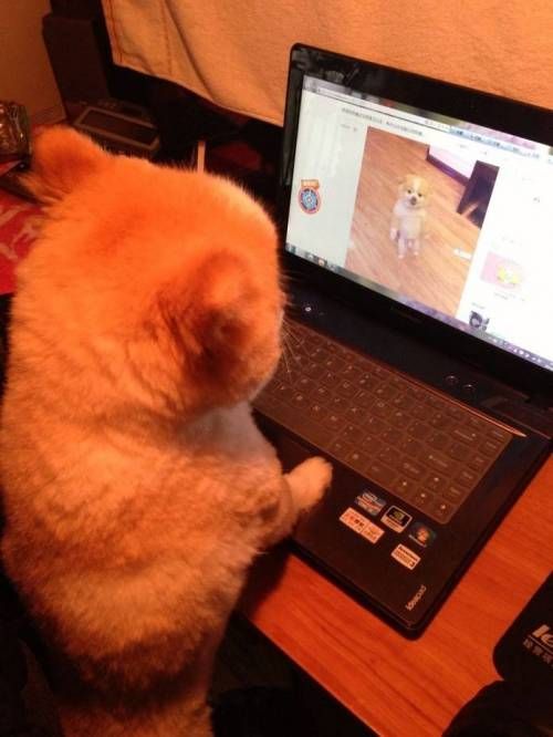 맘에드는 이성을 찾았다.