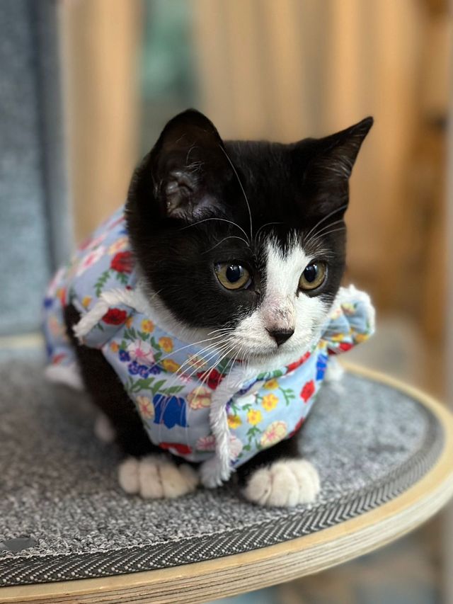 싱.글.벙.글. 집안 가득 꺄악 소리 울려퍼짐 - 유머 채널 001.jpg