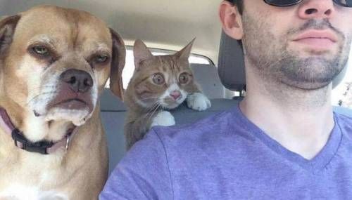 주인놈이 면허따고 첫드라이브를 나왔다