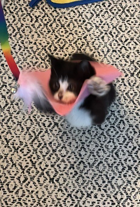 싱.글.벙.글. 집안 가득 꺄악 소리 울려퍼짐 - 유머 채널 005.jpg