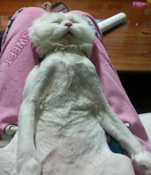 삼촌과 숙모님의 카톡 프사 차이.twt