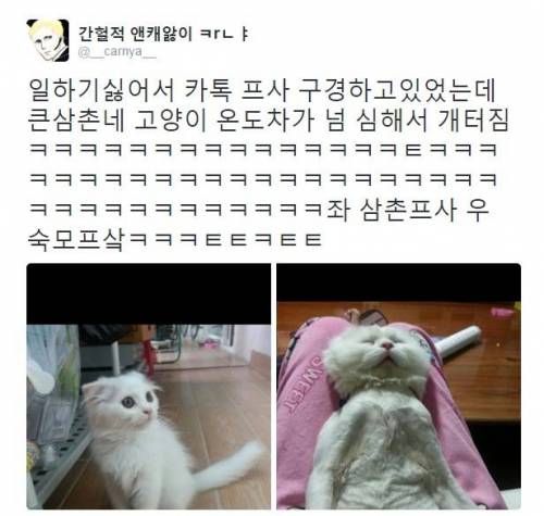 삼촌과 숙모님의 카톡 프사 차이.twt
