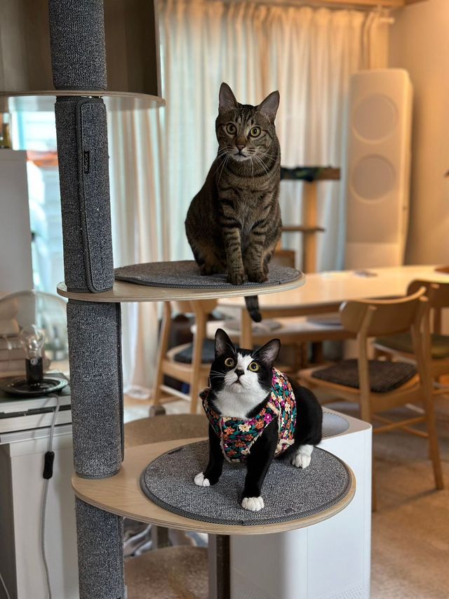 싱.글.벙.글. 집안 가득 꺄악 소리 울려퍼짐 - 유머 채널 015.jpg