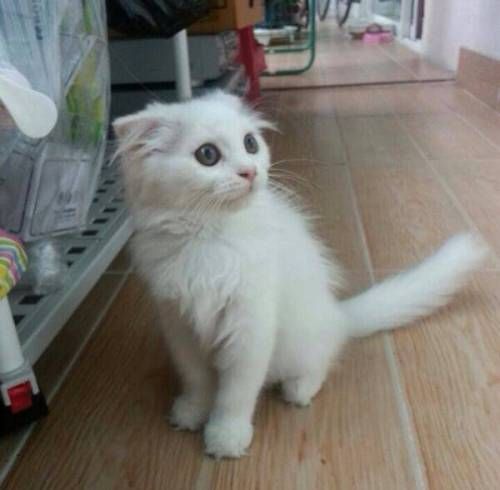 삼촌과 숙모님의 카톡 프사 차이.twt