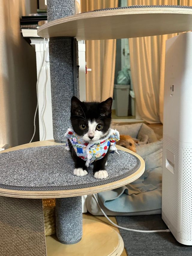 싱.글.벙.글. 집안 가득 꺄악 소리 울려퍼짐 - 유머 채널 000.jpg