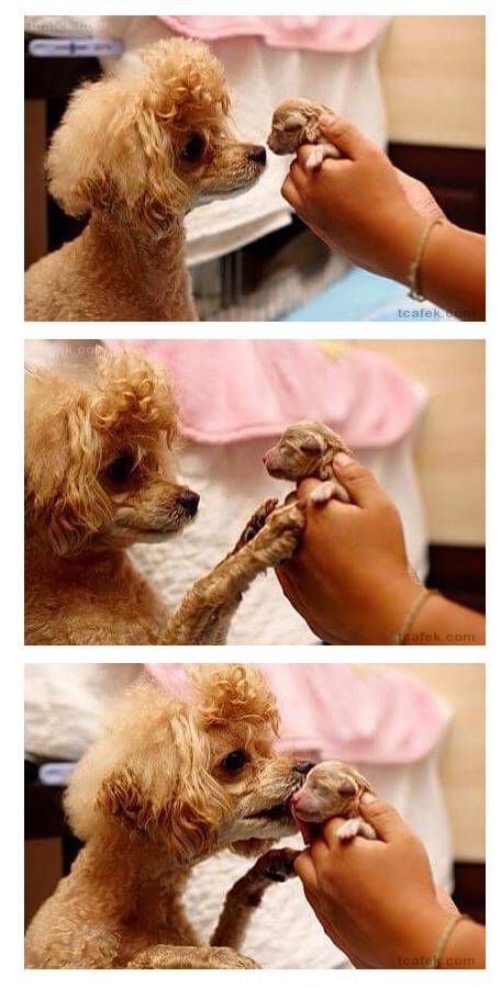 세상에 나온 아이를 마주한 엄마