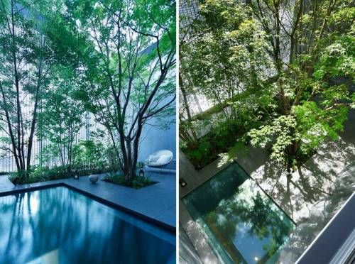 일본의 특이한 집.jpg