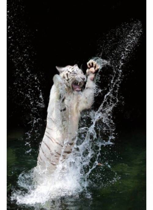 엄마악!!!! 따뜻한 물이 안나와악ㄱㄱ!!!!!!!!!!!!!!!