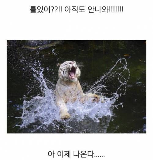 엄마악!!!! 따뜻한 물이 안나와악ㄱㄱ!!!!!!!!!!!!!!!