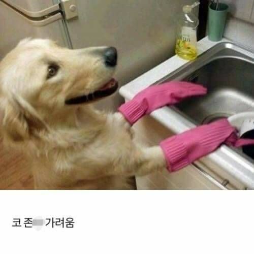 설거지 할 때 공감.jpg