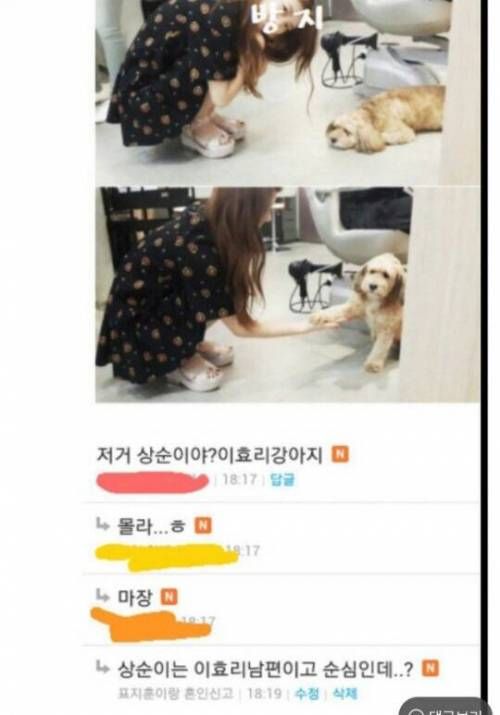 이효리가 키우는 강아지이름.jpg