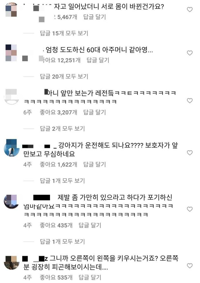 옆에서 난리 치고 있는데 세상 무심한 댕댕이ㅋㅋㅋ