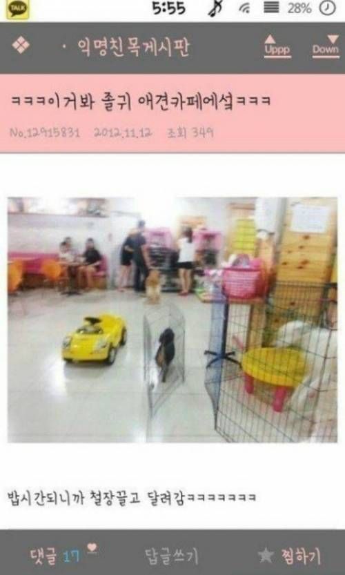 배고픈 멍멍이.jpg