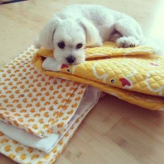 여보 이불좀 개줘.jpg