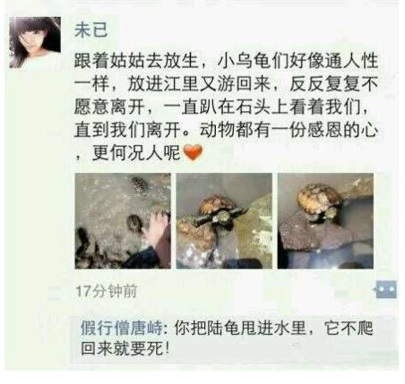 은혜를 아는 거북.jpg