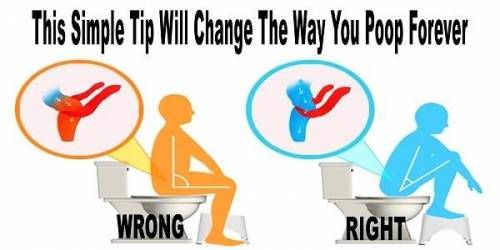 올바른 대변자세.jpg