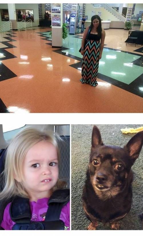 묘하게 닮음.jpg