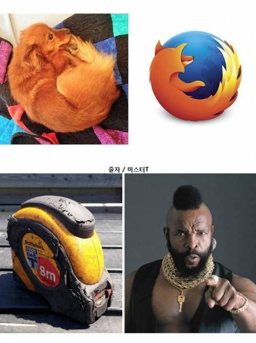 묘하게 닮음.jpg