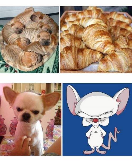 묘하게 닮음.jpg