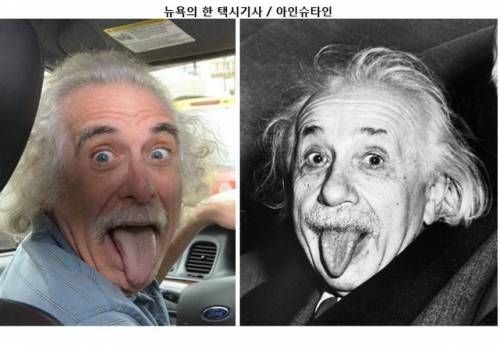 묘하게 닮음.jpg