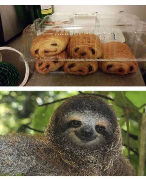 묘하게 닮음.jpg