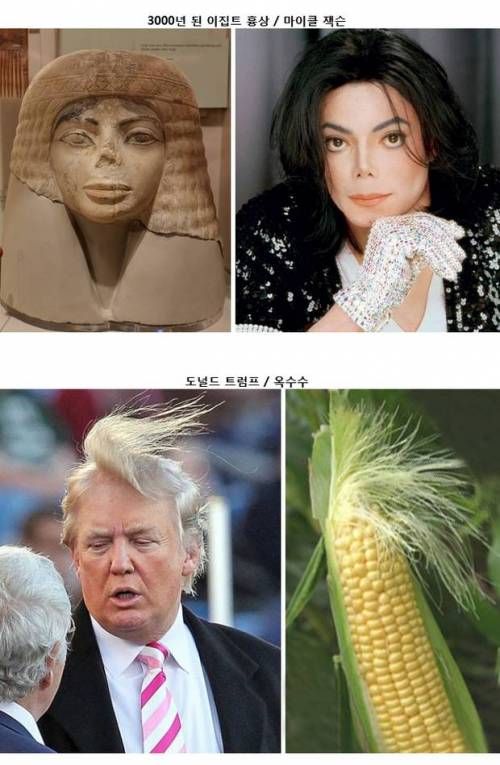 묘하게 닮음.jpg