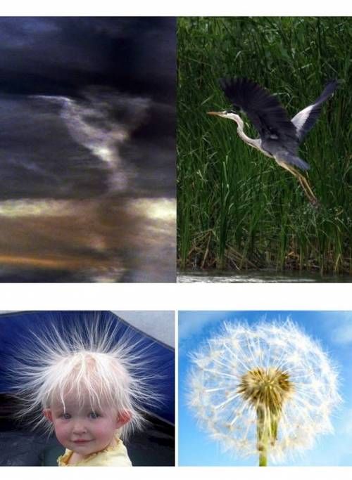 묘하게 닮음.jpg