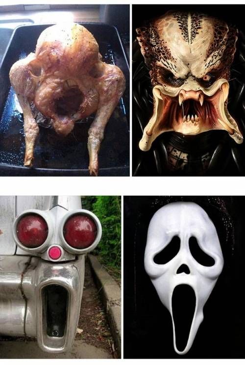 묘하게 닮음.jpg