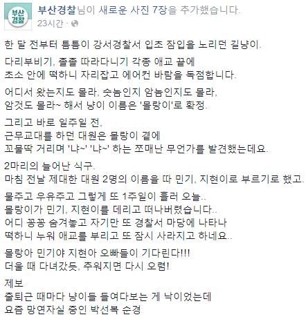 경찰과 고냥이.jpg