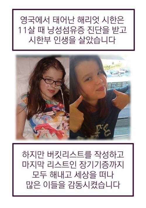 15살 어린 소녀의 마지막 버킷리스트.jpg