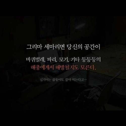 돈벌레 죽이면 안됨.jpg