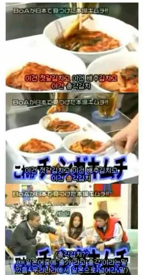 협찬받은 옷에 일장기떼고 태극기 붙인 연예인