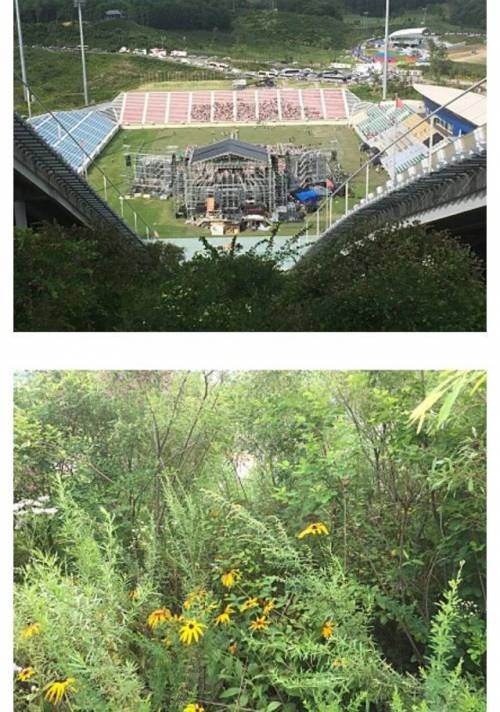 무도 가요제 산타고 보신 분 후기