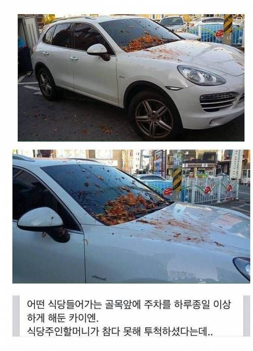 당앞에 주차해서 열받은 아주머니