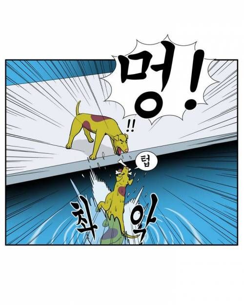 욕심이 부른 결과.jpg