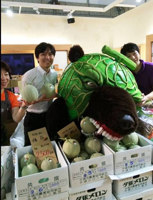 열도의 지역 마스코트 클래스
