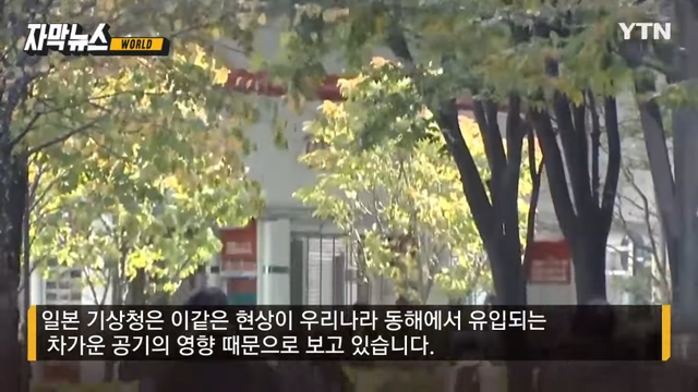 YTN - [자막뉴스] 69cm 폭설이 '펑펑'.더위 몰아치더니 이례적 현상 '기습' YTN [KatdrAJfunM - 966x543 - 1m18s].png