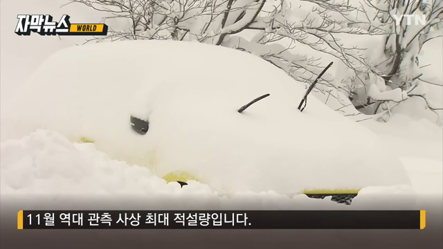 YTN - [자막뉴스] 69cm 폭설이 '펑펑'.더위 몰아치더니 이례적 현상 '기습' YTN [KatdrAJfunM - 966x543 - 0m12s].png