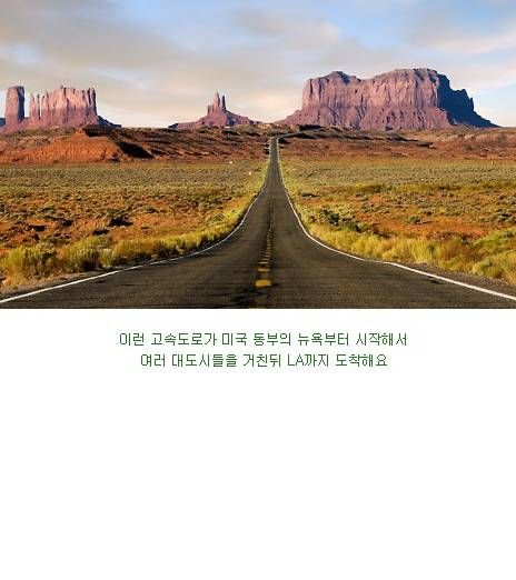 미국 남성들의 로망.jpg