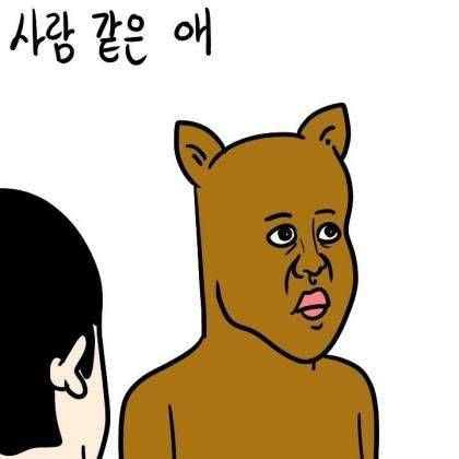 애완견 유형.jpg