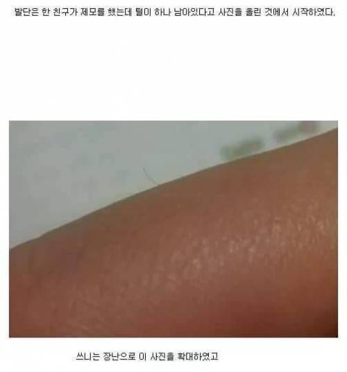 마지막 잎새.jpg