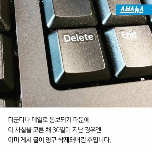 인터넷 맛집의 비밀.jpg