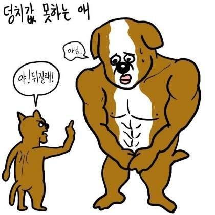 애완견 유형.jpg