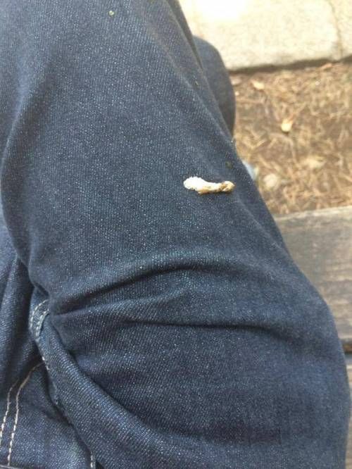 어느날 참새가 무릎에 앉았다.jpg